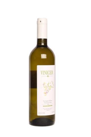 Vinicer Alb